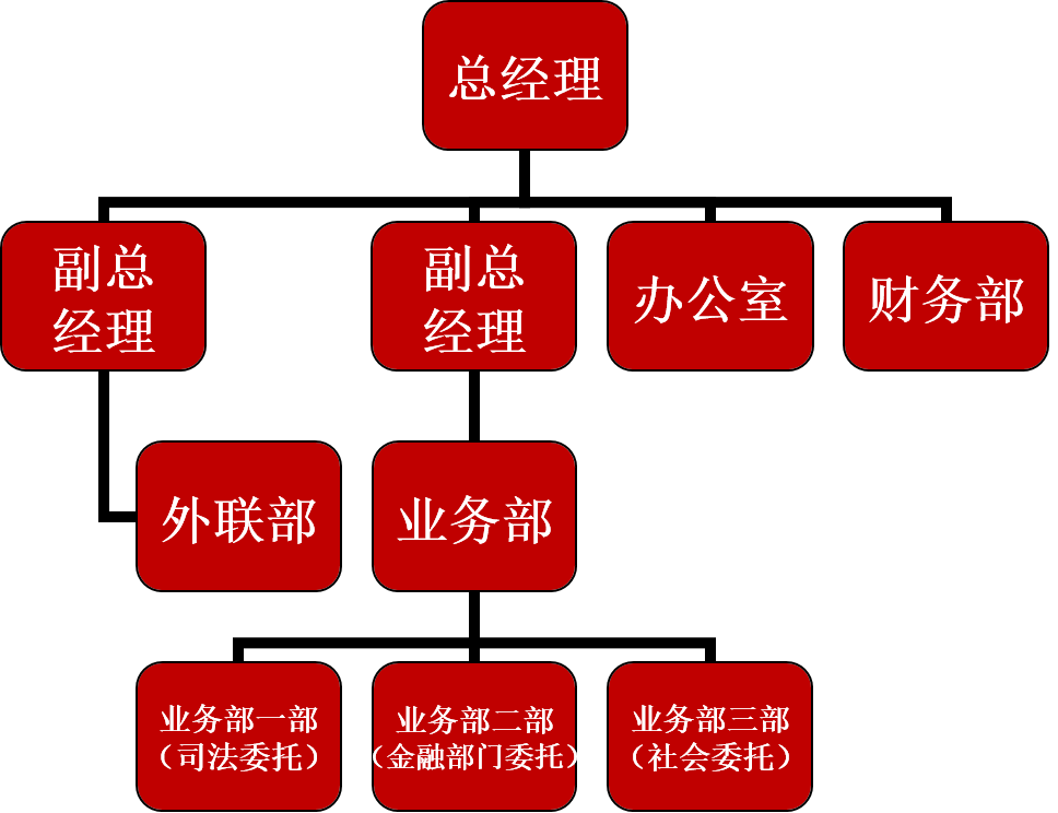 公司架構(gòu)圖